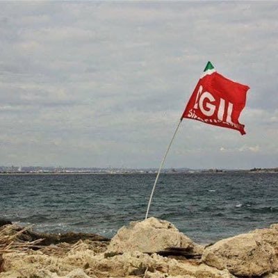 Alessan54545730's profile picture. 