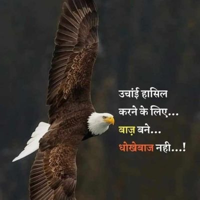 bagrapkoo7's profile picture. live young live free, be happy