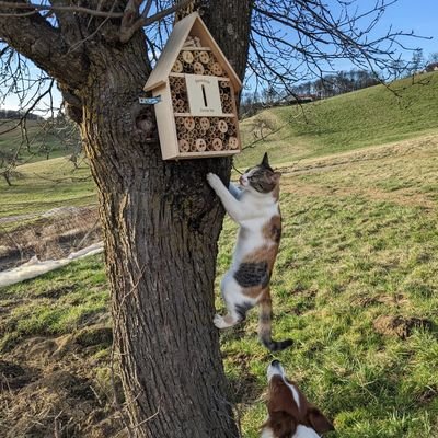 freelancer / owner of https://t.co/aqqMwrYgGz / author of https://t.co/a6HvlenPVx / OSM / cartography / SW development
@breki74@mstdn.social