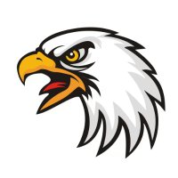 Eagle (@eaglezfps) 's Twitter Profile