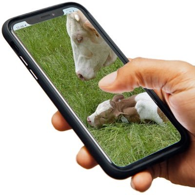 farmerseye256's profile picture. We install cameras in farms with latest technology of simple to use system to provide monitoring and viewing straight on your phone. call/watsup 0787873164