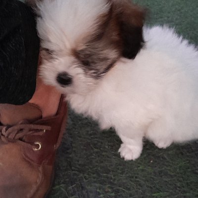 ianredman's profile picture. Was a digital nomad in Mexico for 5 years, now I live in Thailand