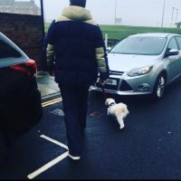 brettman (@shinobiisback) 's Twitter Profile
