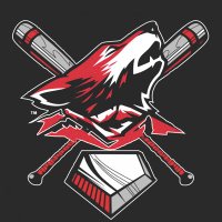 Loveland Redwolves Baseball (@redwolvesbsb) 's Twitter Profile