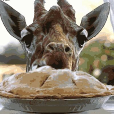 bodacious075253's profile picture. 