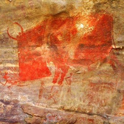 avinasharun996's profile picture. let's protect nature