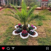 🤍ZANEIDE🇧🇷🚩🕊✌️ (@neiderlima1) 's Twitter Profile