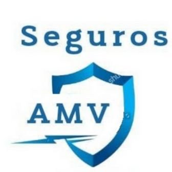 AMVtuSeguro