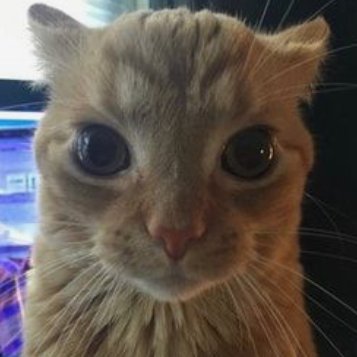 wompiee_'s profile picture. 