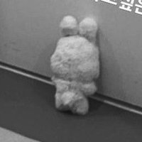 . (@yongtinybearly) 's Twitter Profile
