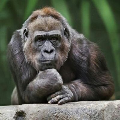 SammAllen12's profile picture. 