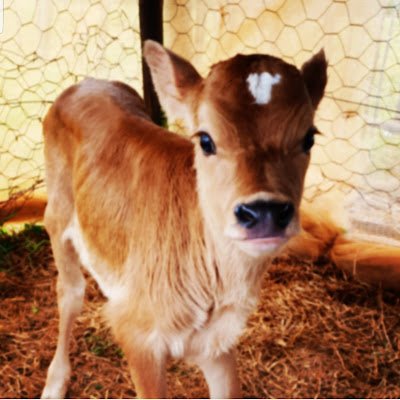 BernardNgo45209's profile picture. 