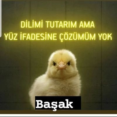 tuzlukurabiyem1's profile picture. Ehl-i Ticaret & Reklamcı

❤❤❤