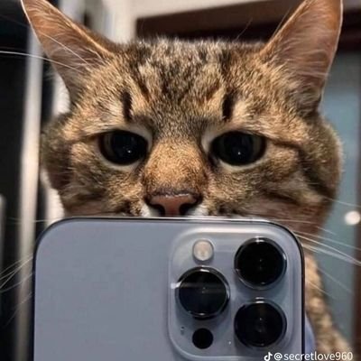 yulian_schaefer's profile picture. Feliz, pero no mucho△▽