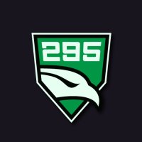 295 Esports (@295_esports) 's Twitter Profile