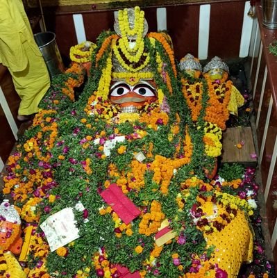 AmitMis18330870's profile picture. 