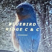 Ryan (@bluebirdridgecc) 's Twitter Profile