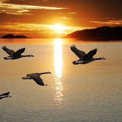 himzquest's profile picture. Entrepreneur, Trader and Lead Analyst