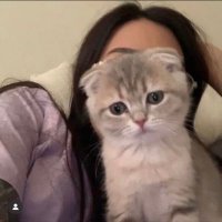 ♡ (@ay__ll98) Twitter profile photo