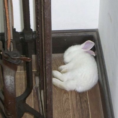 valeさんのプロフィール画像