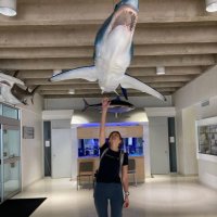 Clemency White 🦈 (@clemencyewhite) 's Twitter Profile Photo Clemency White 🦈 (@clemencyewhite) 's Twitter Profile Photo