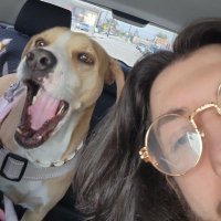 Queue (@queue_ss) 's Twitter Profile