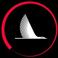 Hangar__10 (@hangar__10) 's Twitter Profile
