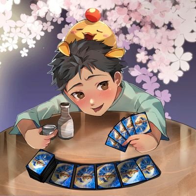 せっちゃんさんのプロフィール画像