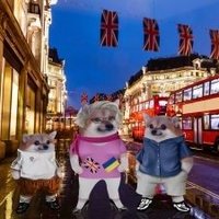 Sue (@sue_metcalf) 's Twitter Profile Photo Sue (@sue_metcalf) 's Twitter Profile Photo