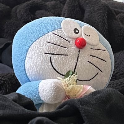 sethiiiiiiさんのプロフィール画像