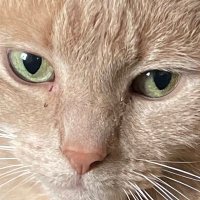 Rory (@nitemoves) 's Twitter Profile