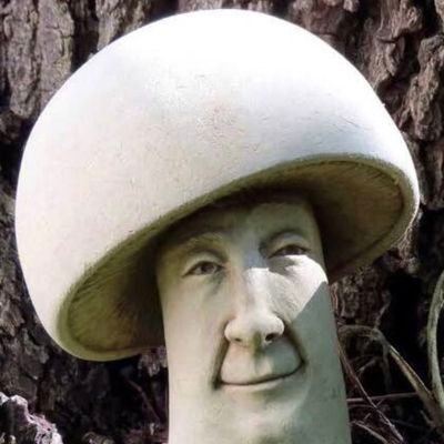 I know stuff about the great void.
I hate Mark Zuckerberg.
Shroomed to meet you 🤝