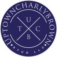 UptownCharlyBrown Stud LLC (@utcbstudd) 's Twitter Profile