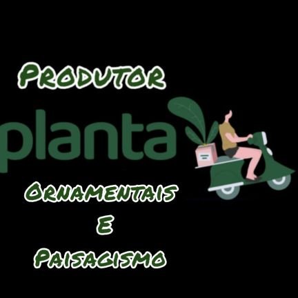 Somos produtores de plantas ornamentais 🌲
Fazemos entrega e envio para todo Brasil🚚
Trabalhamos com paisagismo e gramas