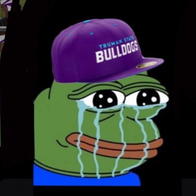 Depressed Truman State Fan Profile