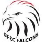 BFEC_HRSB Profile Picture