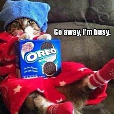 MadKat1964's profile picture. 