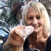 dachsund loving Dem (@doxiedemmomma) 's Twitter Profile