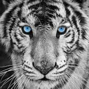 Eileen Chuah - @EileenChua94747 - Twitter