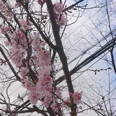 鍵の開け閉め頻繁。
これは私のためのアカウント。頻繁にフォロワーさん整理します。
デキルバ民。特性あり新小3👦子育て中

スピ系お断り。
義理フォロバ不要。FF外コメント歓迎！