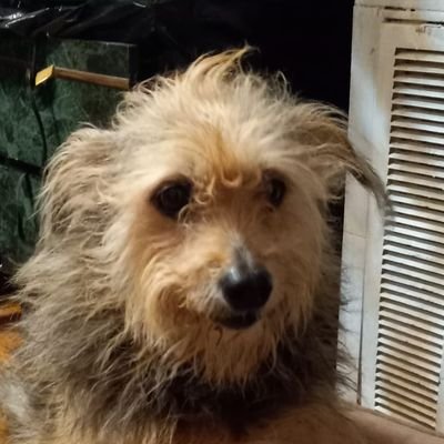 Full Stack Developer prioritizing user-centered design and accessibility.
Graduating with a CS BA in May and looking for a job!
she/her