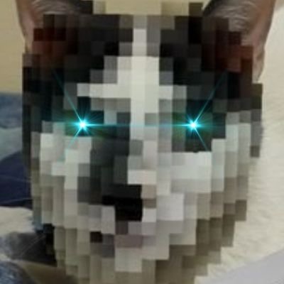 CriptoNoka's profile picture. 