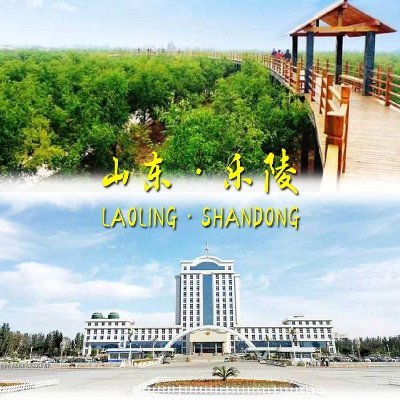 Laoling City is a small town in the northwest plain of Shandong Province. It has a group of lovely people and beautiful scenery.