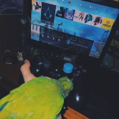 gamesphotograp's profile picture. Gamer 🎮 🇪🇦 SPAIN 
LIFE IS GAME OF HÉROES