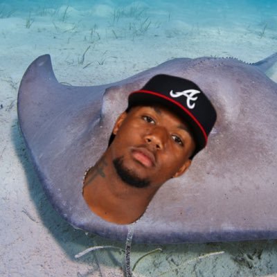 stingray_acuna Profile Picture