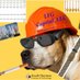 Development Dawg (@promotejunkie) Twitter profile photo Development Dawg (@promotejunkie) Twitter profile photo