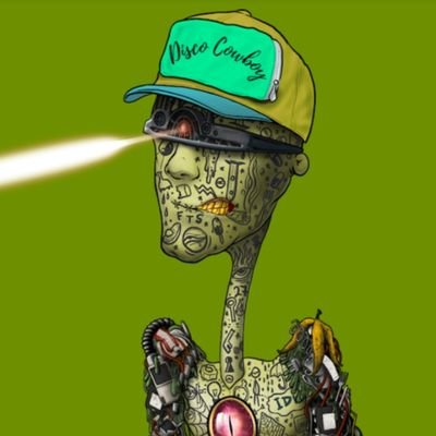 Disco77Cowboy's profile picture. Safety Investor Inspector, Race quad FPV Junkie.