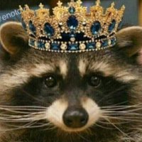 EAMANN (@eamann14) 's Twitter Profile