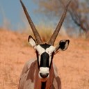 JoAnne Neely - @NeelyRegina - Twitter