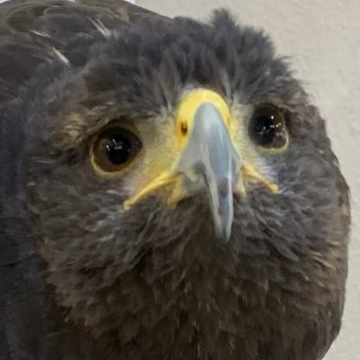 Tendoubanshou1's profile picture. แอคแยก พื้นที่เฟบ รี โพสตามใจตัวเอง